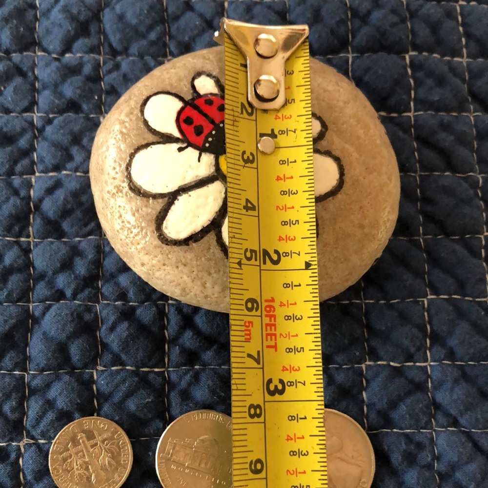 HAND PAINTED LADYBUG  DAISY ROCK - Picture 7 of 7